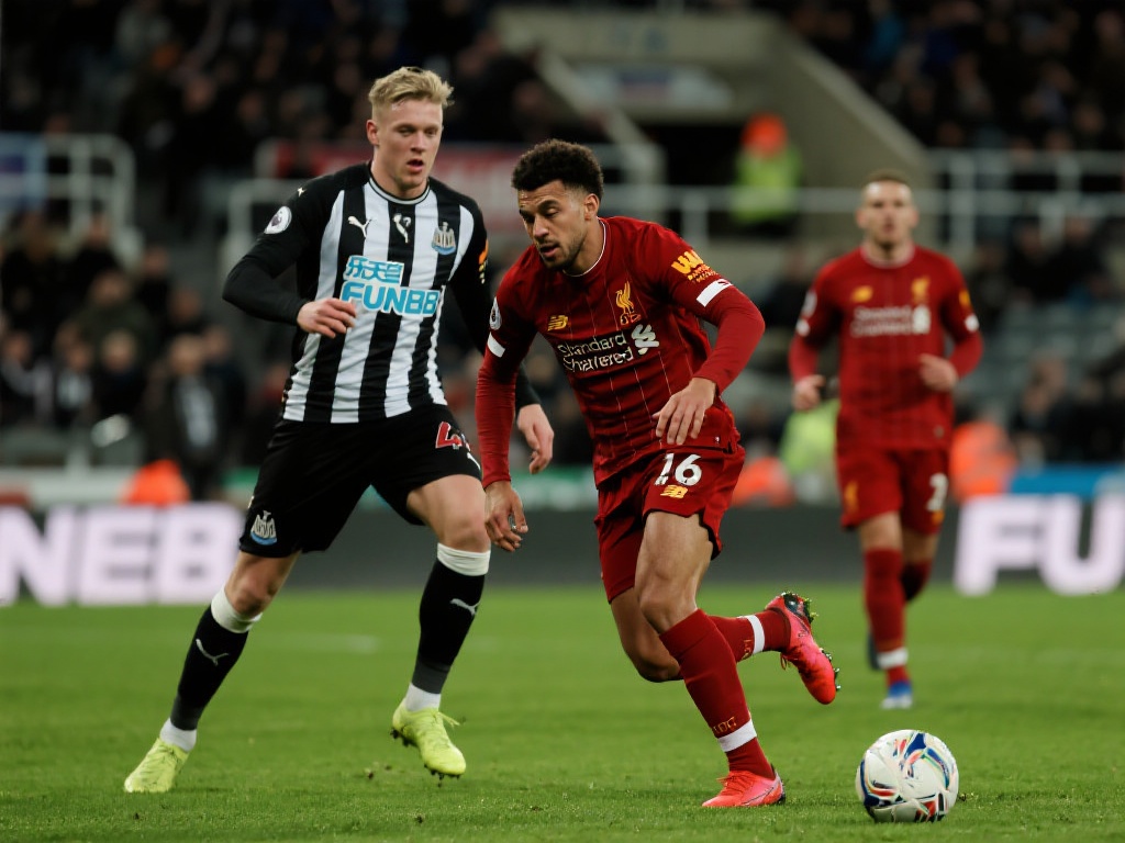 大的球员 大的球员